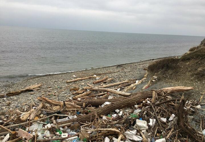 Роспотребнадзор назвал самые безопасные и чистые пляжи на Кубани. Их всего 8