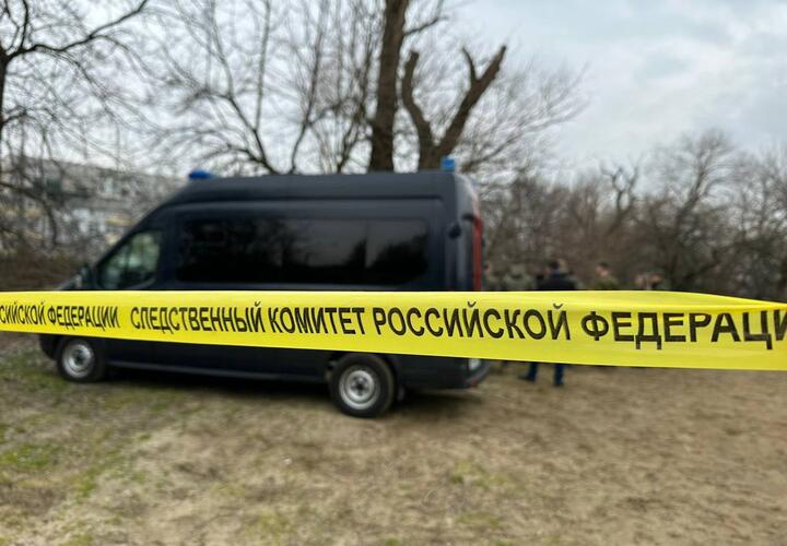 Виновника гибели матери и сына будут судить в Брюховецком районе