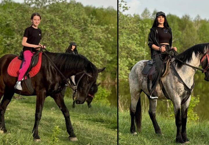 Из конюшни в Мостовском районе Кубани украли лошадей, которые помогали лечить людей