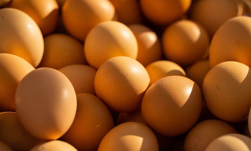 Импортные яйца не попали на прилавки торговых сетей в России