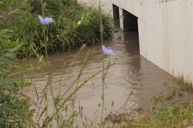 В Лабинском районе после сильных дождей поднялась вода в реках