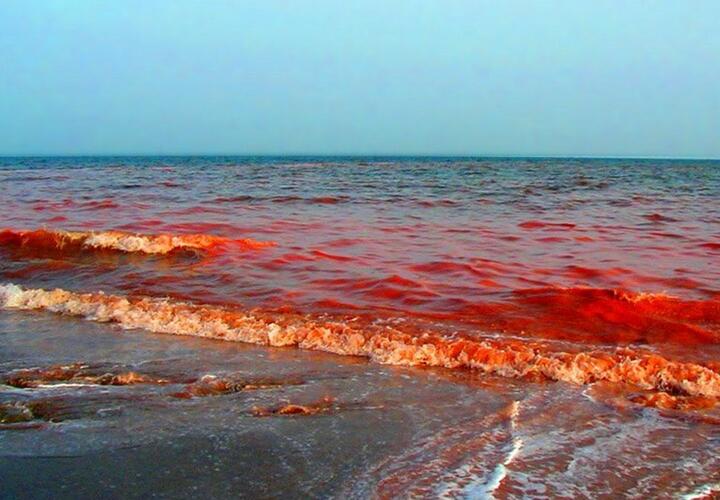 Волны у берегов Новороссийска вдруг стали красными