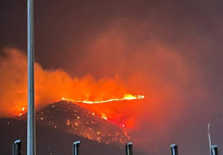 Площадь пожара в Геленджике увеличился до 5 гектаров