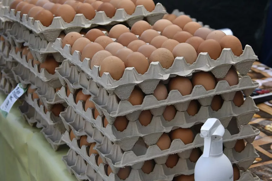 Около 3,6 млн яиц ввезли из Азербайджана в Россию за месяц