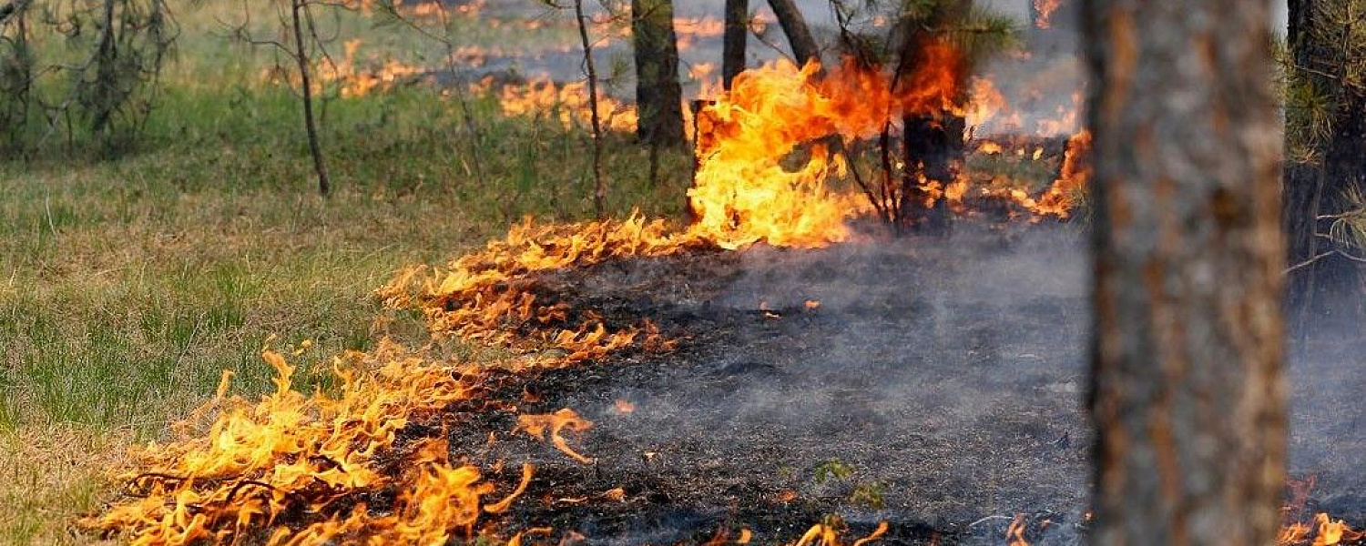 В Краснодарском крае 16 мая объявили высокую пожароопасность